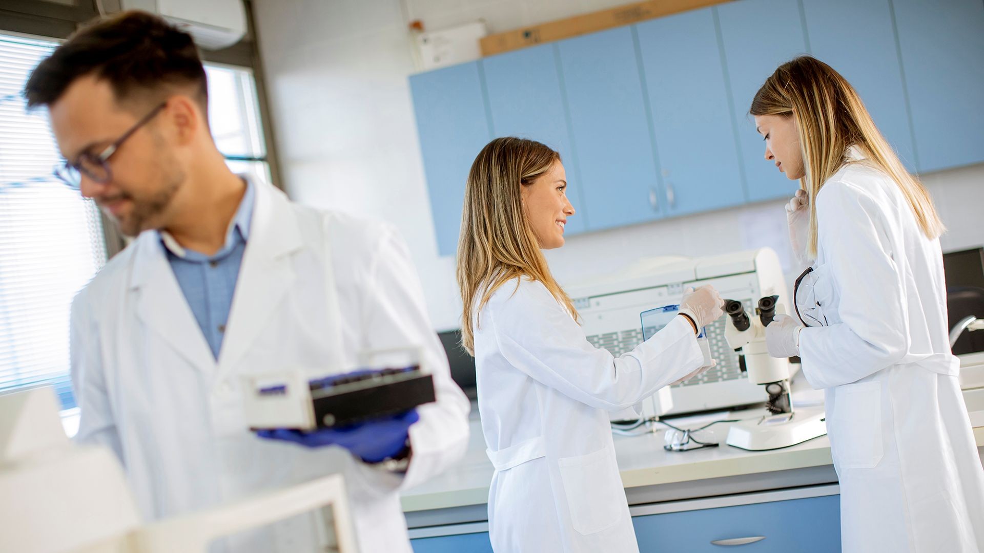 Lab researchers
